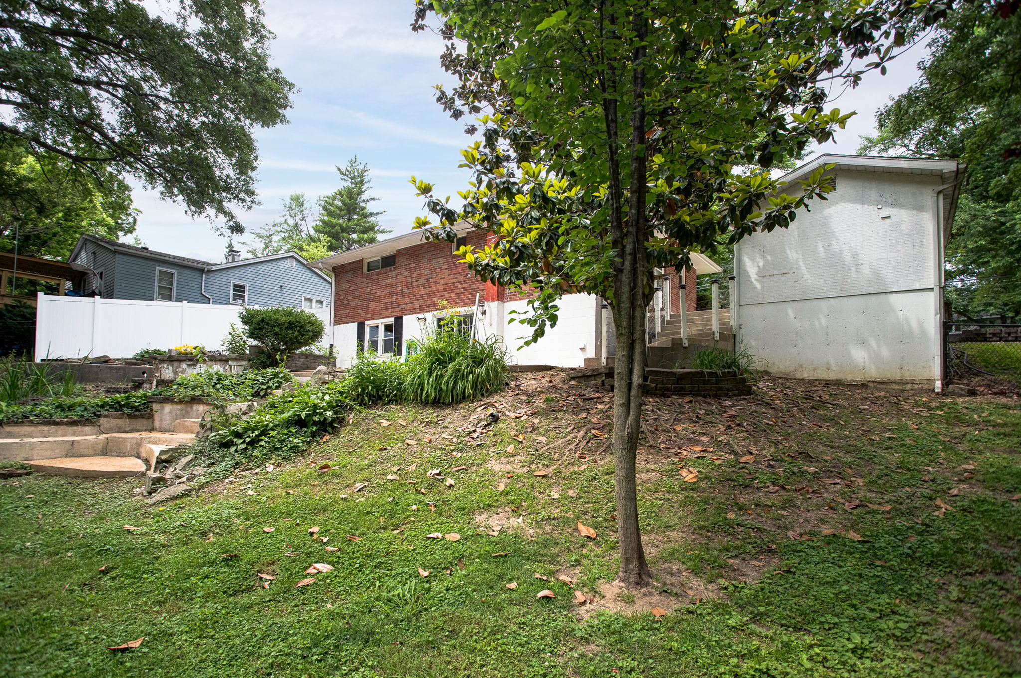  Photo 46