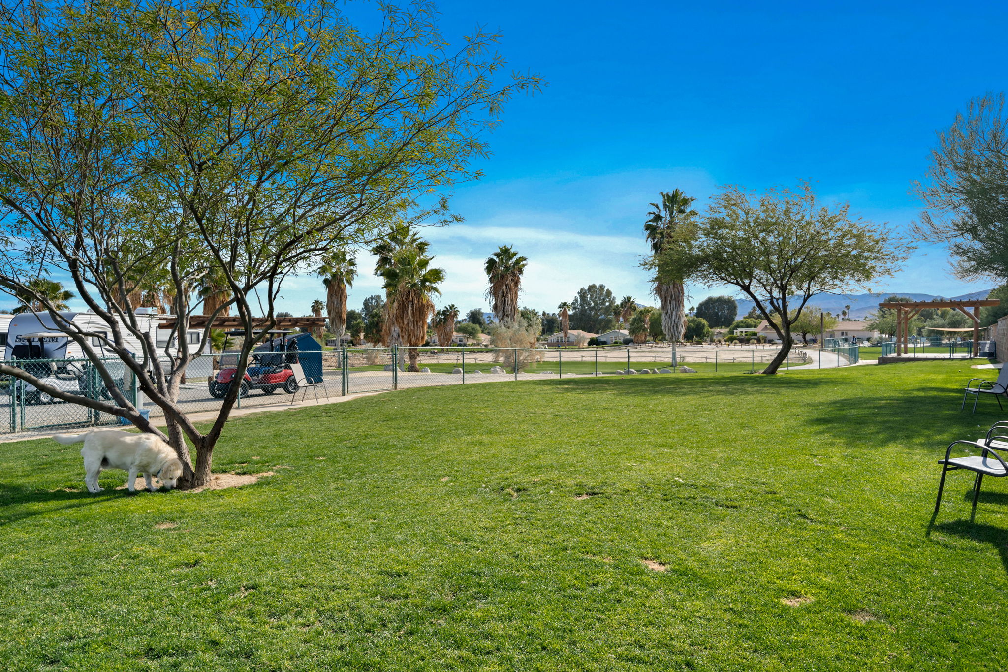  2255 Di Giorgio Rd, Borrego Springs, CA 92004, US Photo 3