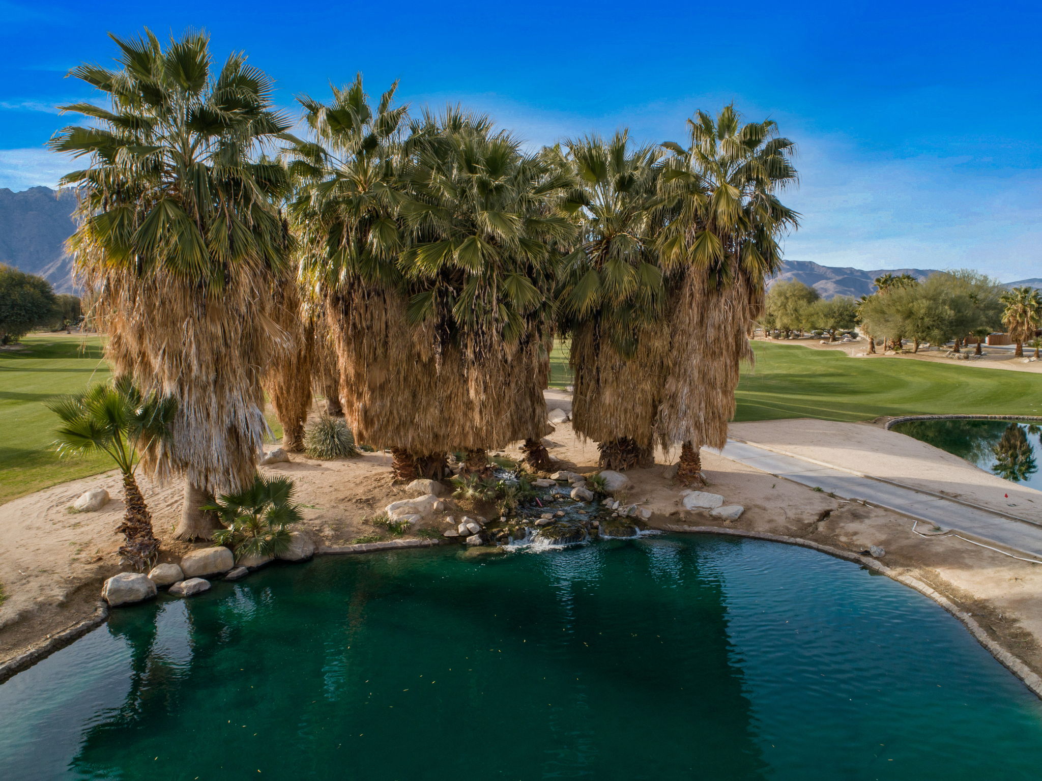  2255 Di Giorgio Rd, Borrego Springs, CA 92004, US Photo 109