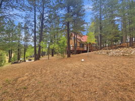 2255 Foxtree Rd, Duck Creek Village, UT 84762, USA Photo 22