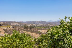 Los Altos 076