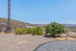 Los Altos 086