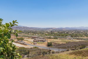 Los Altos 087