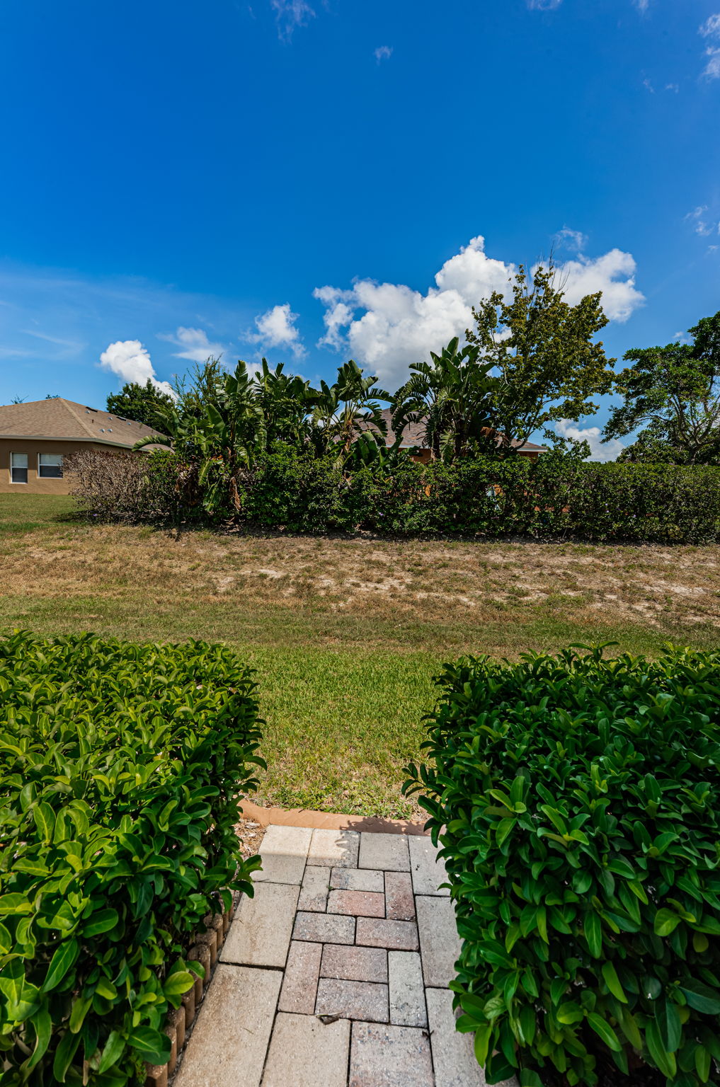 Patio4