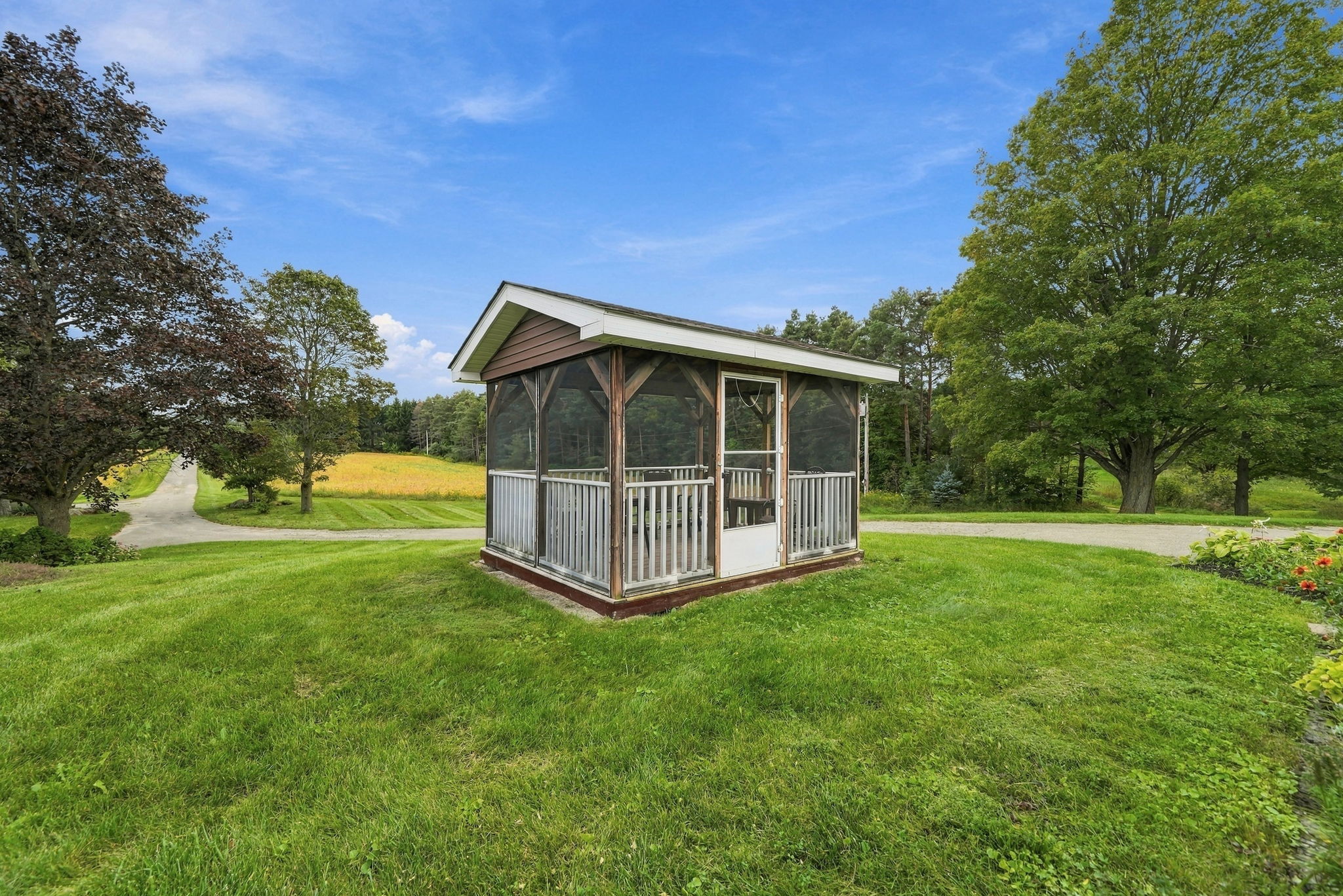  Photo 89