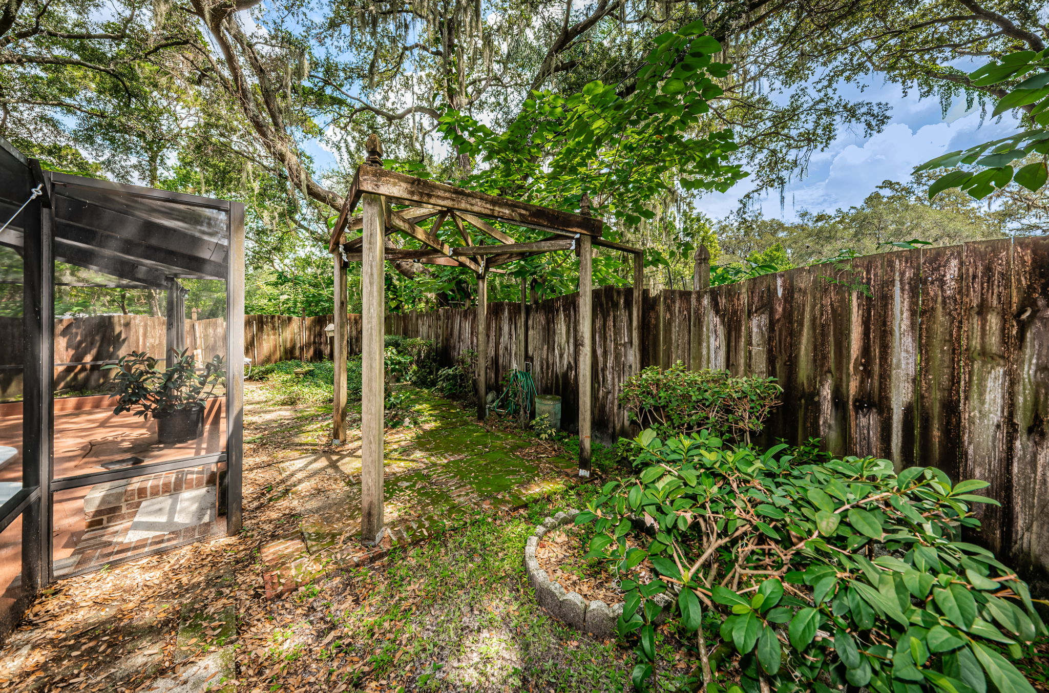 Backyard3