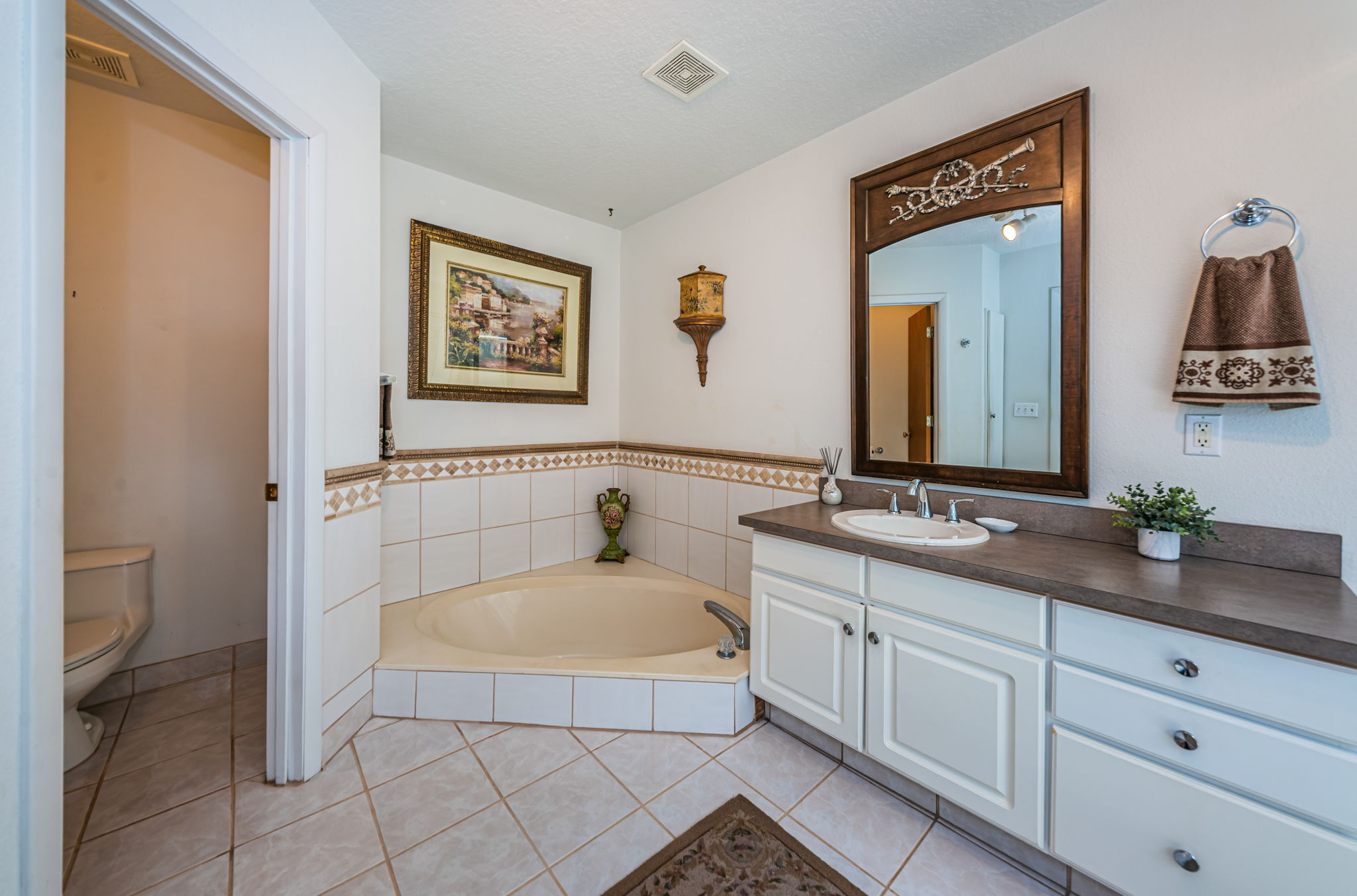 Master Bathroom1c