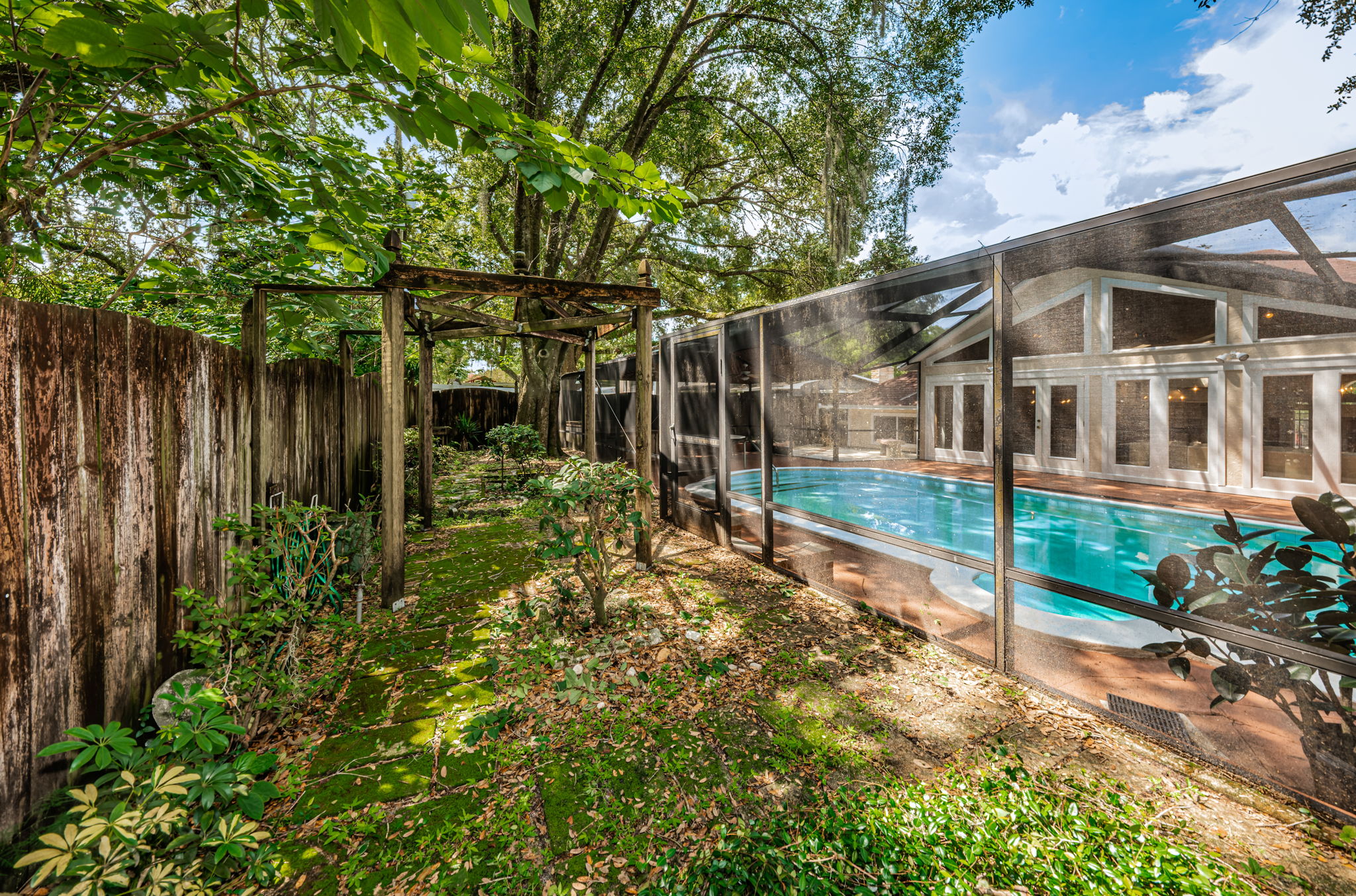 Backyard2