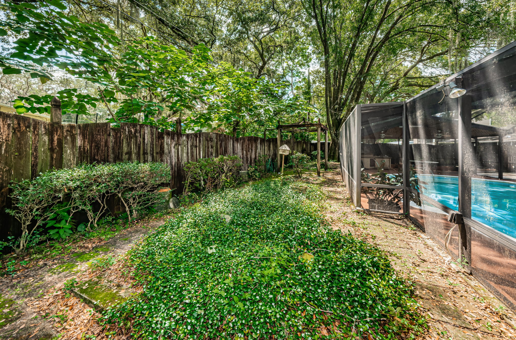 Backyard1