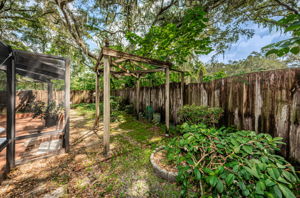 Backyard3