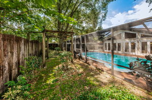 Backyard2