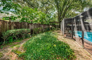 Backyard1