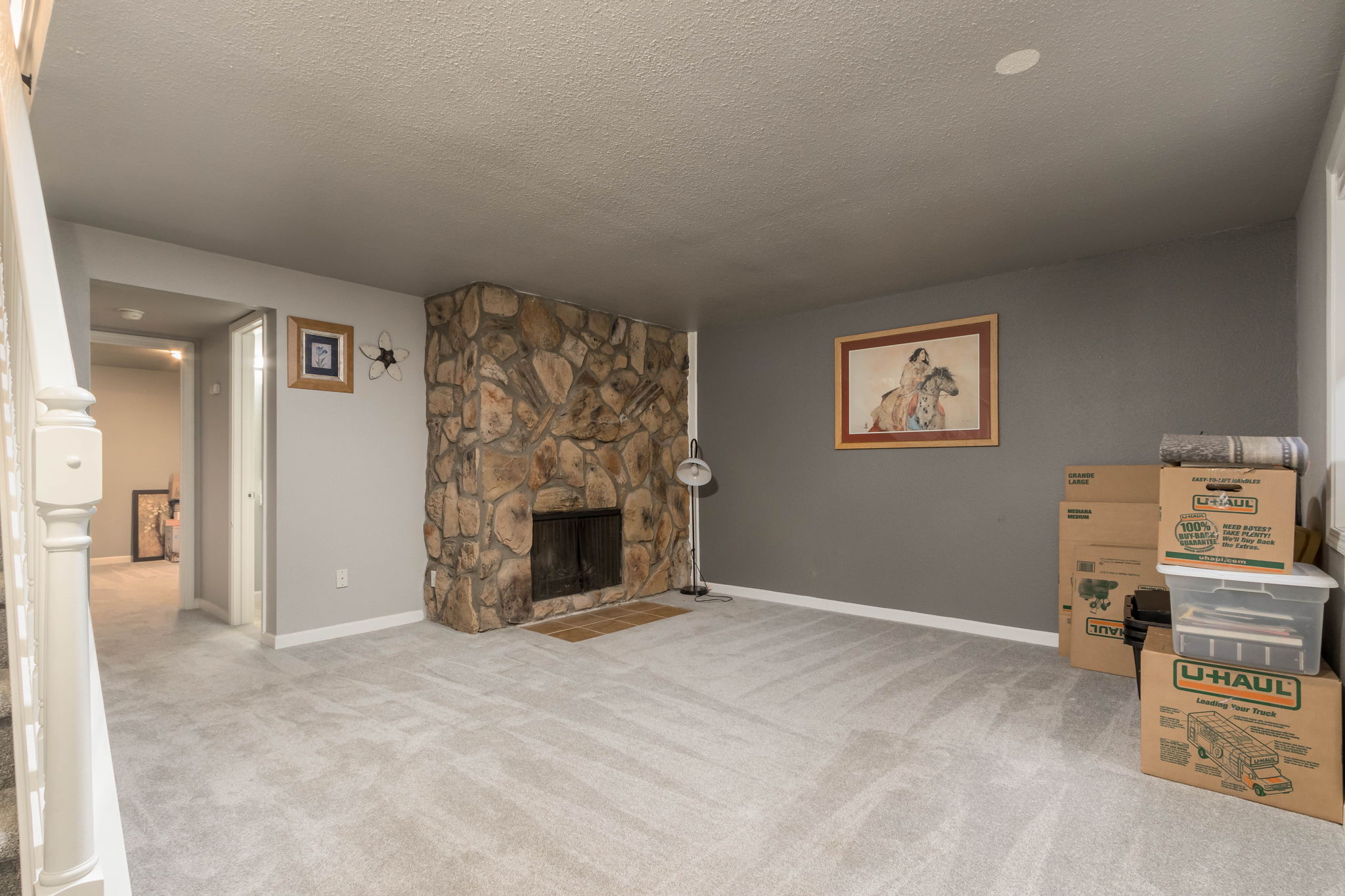 Lower Level Family Room w/ gas fireplace