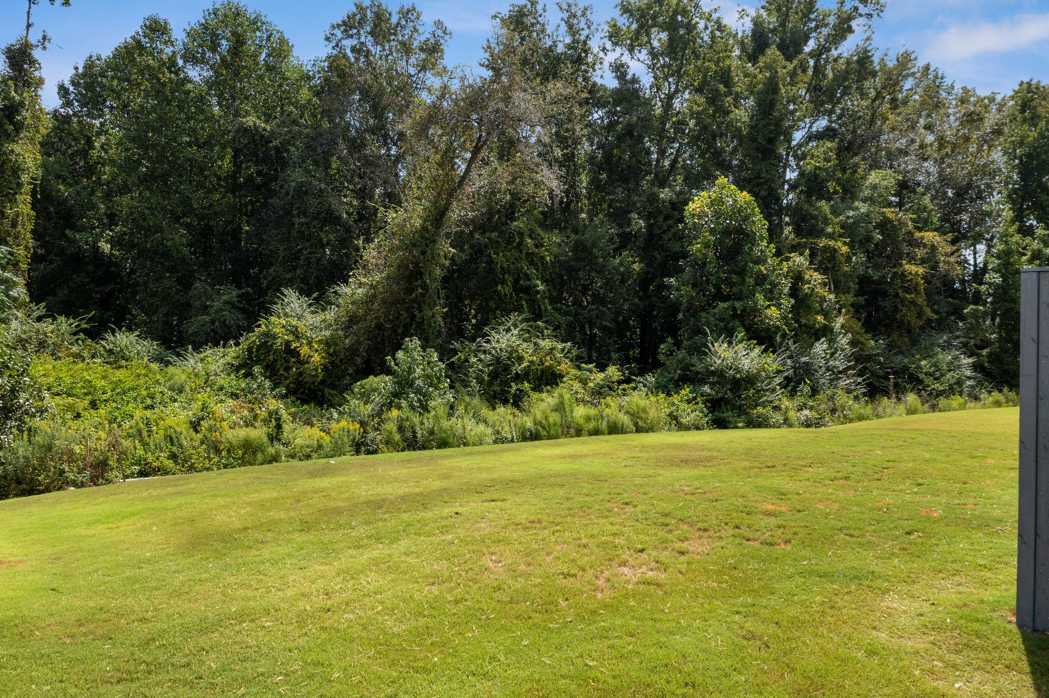 226 Willow Grove Ln, Fuquay-Varina, NC 27526, USA Photo 28