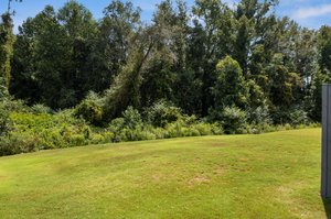 226 Willow Grove Ln, Fuquay-Varina, NC 27526, USA Photo 27