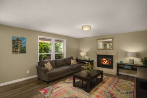 Living Room - Fireplace