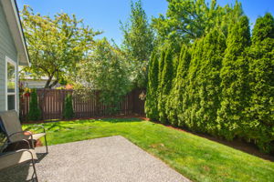 Backyard - Patio