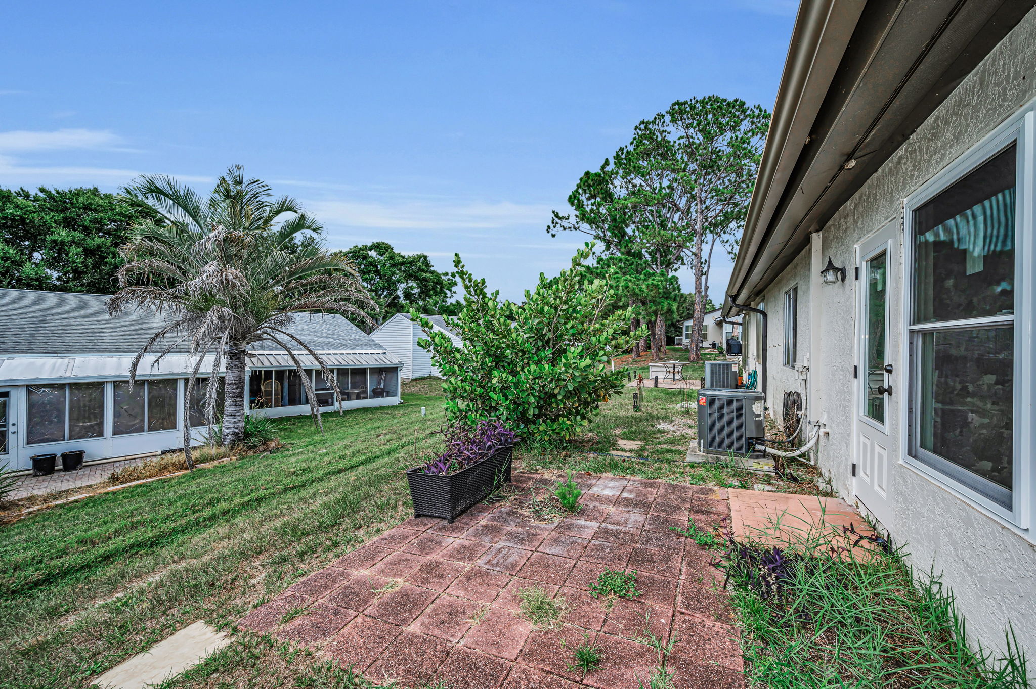 Backyard2