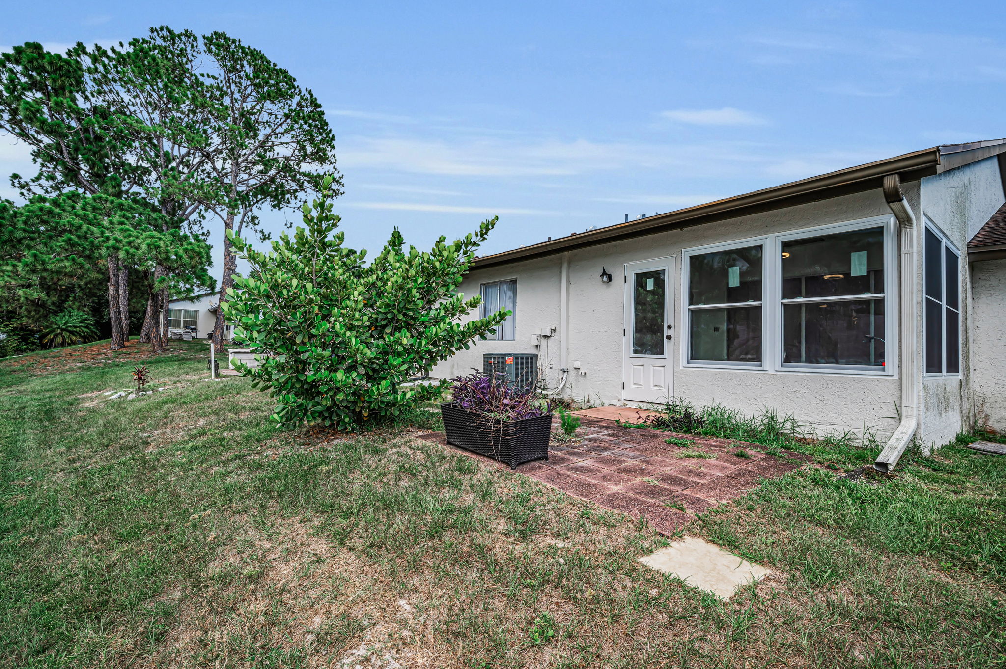 Backyard3