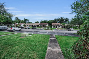 Frontyard