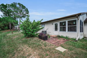 Backyard3