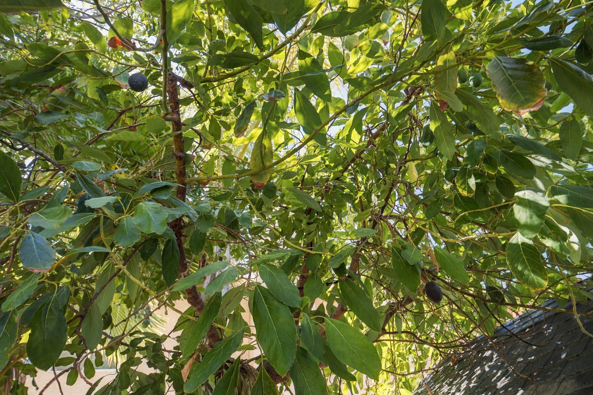  Photo 41