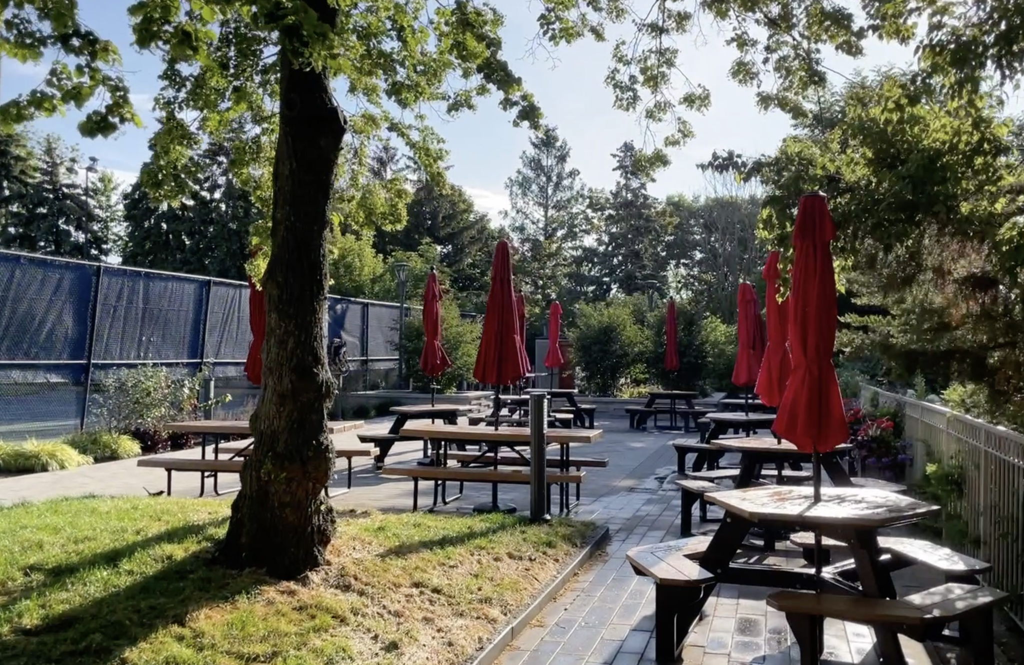 BBQ Area