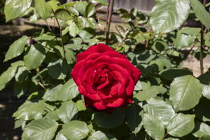 Photo 35