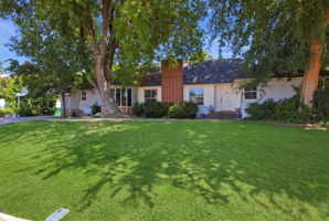  Photo 49