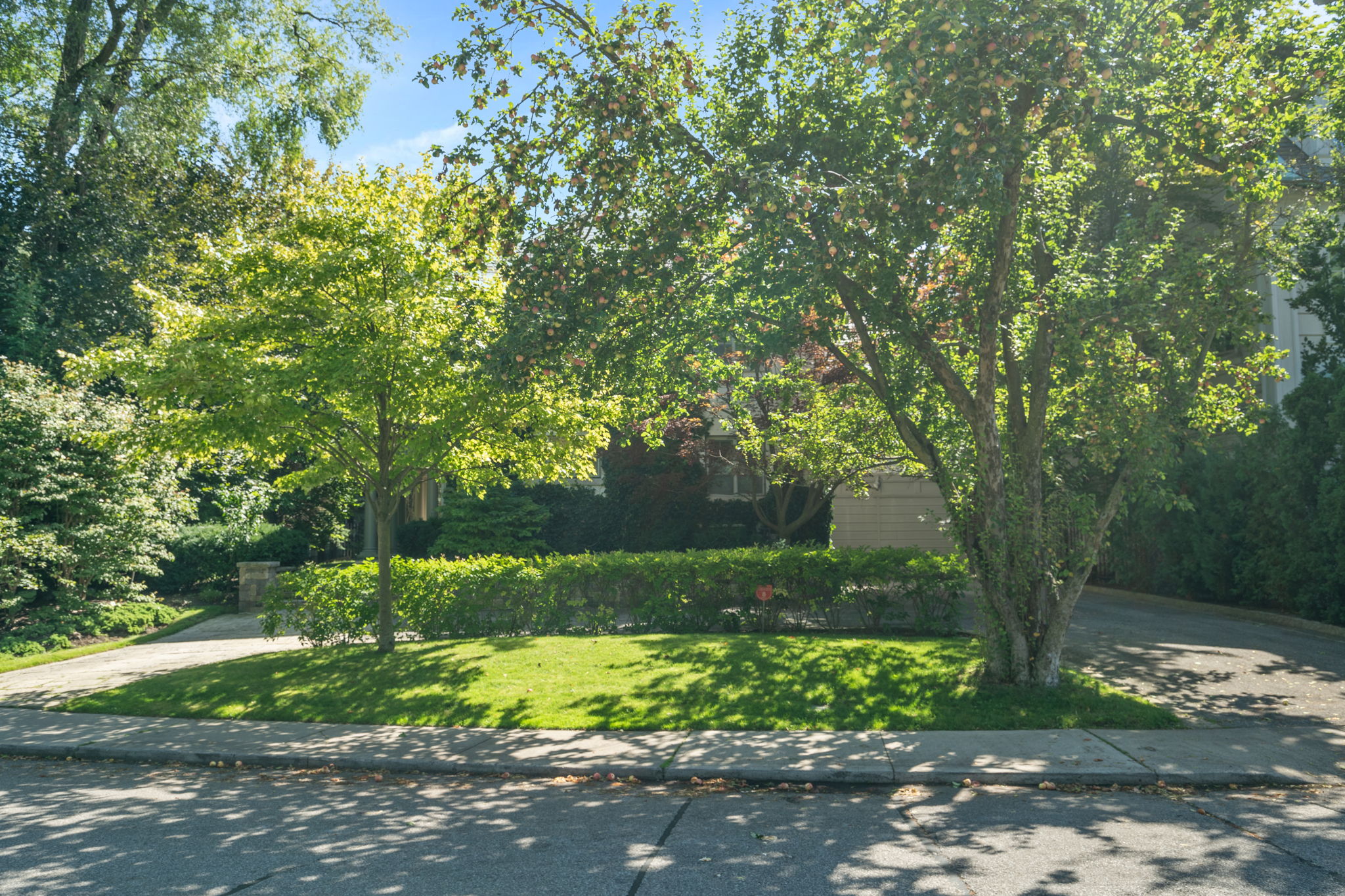 227 Lytton Blvd Toronto, ON M5N 2G5