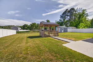  Photo 46