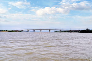  Photo 48