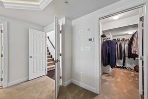 Brimstone Pl-S0905-047.jpg