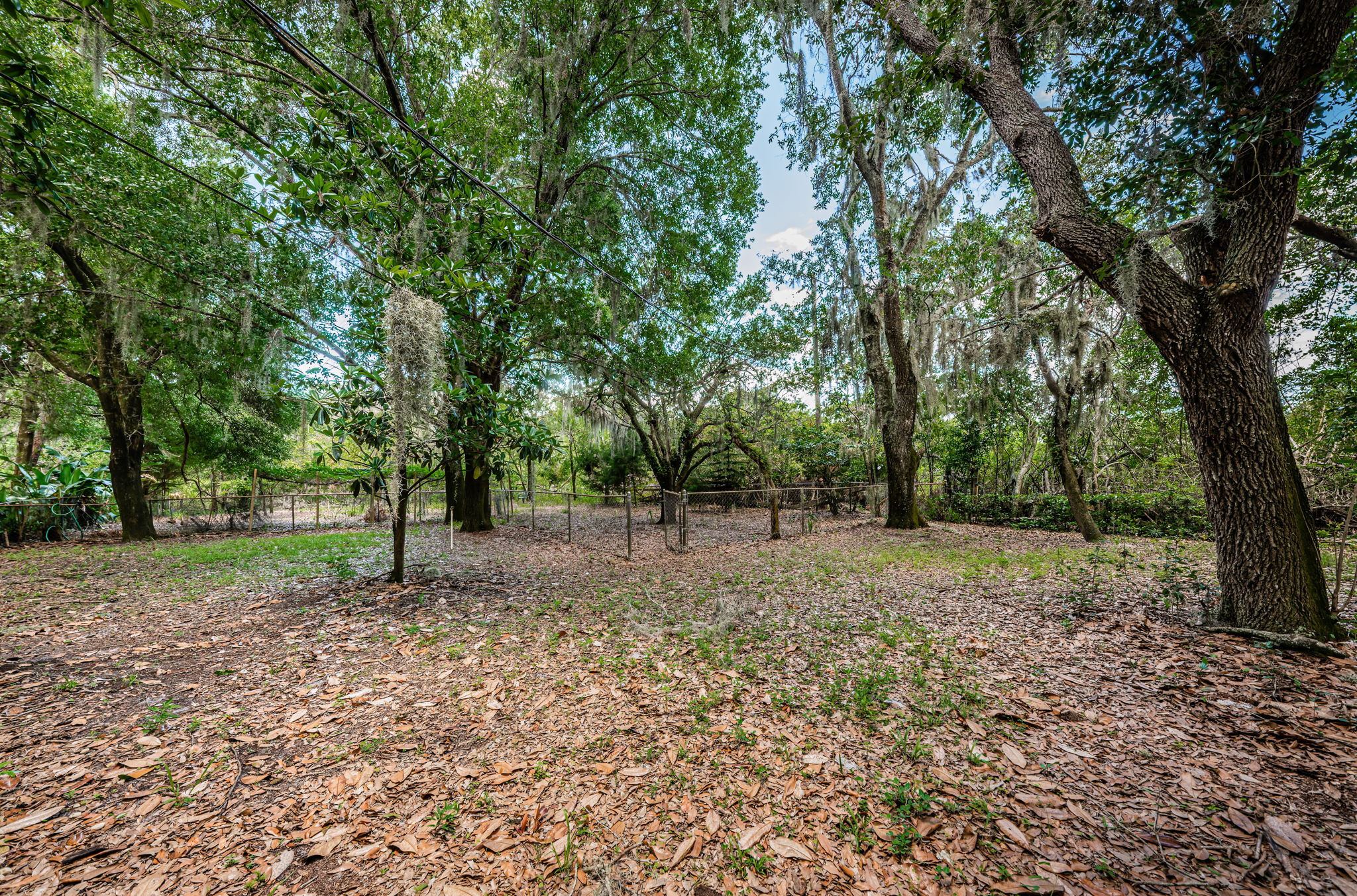 Front Fenced Yard1 Entry