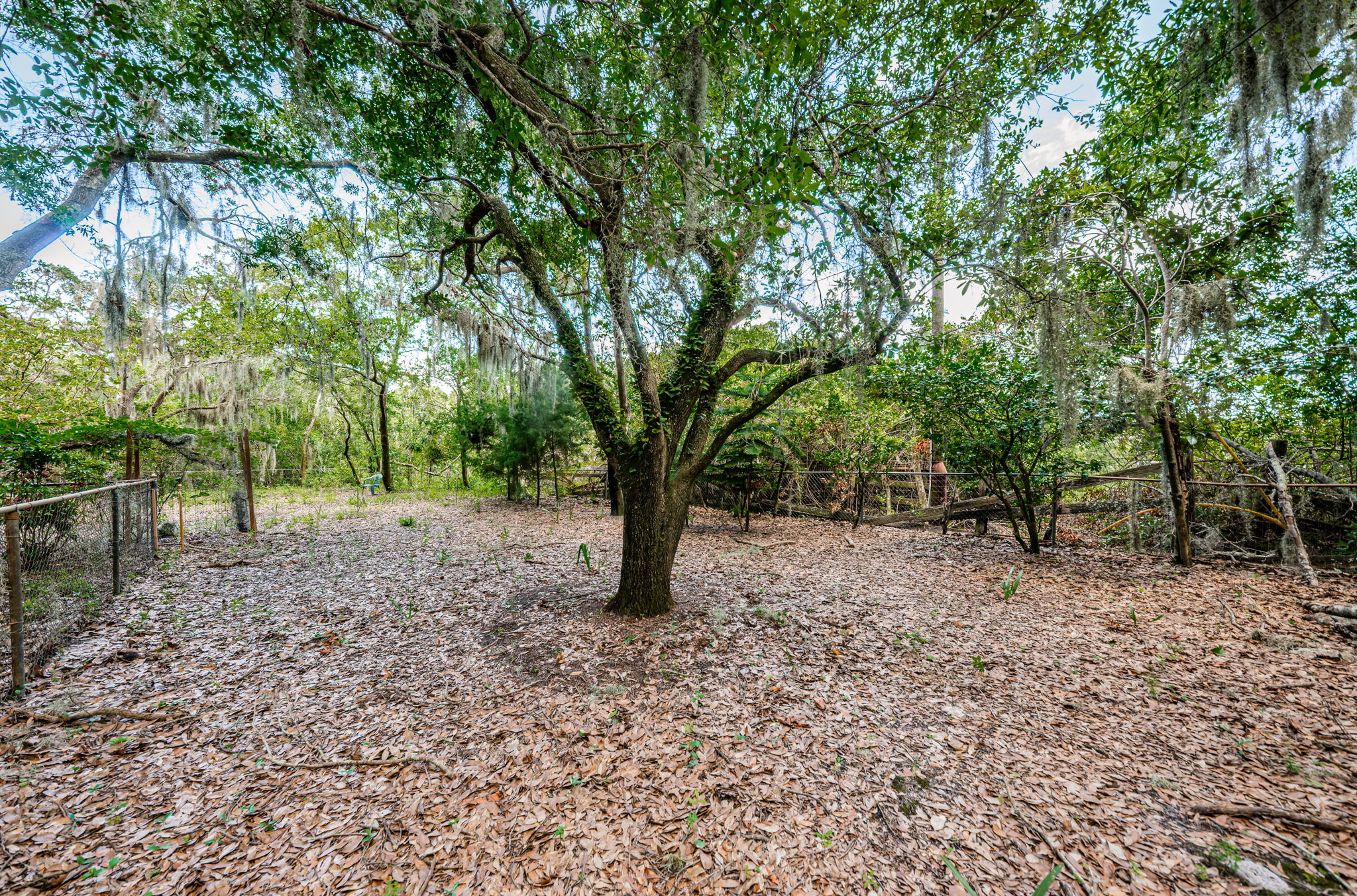 Front Fenced Yard2