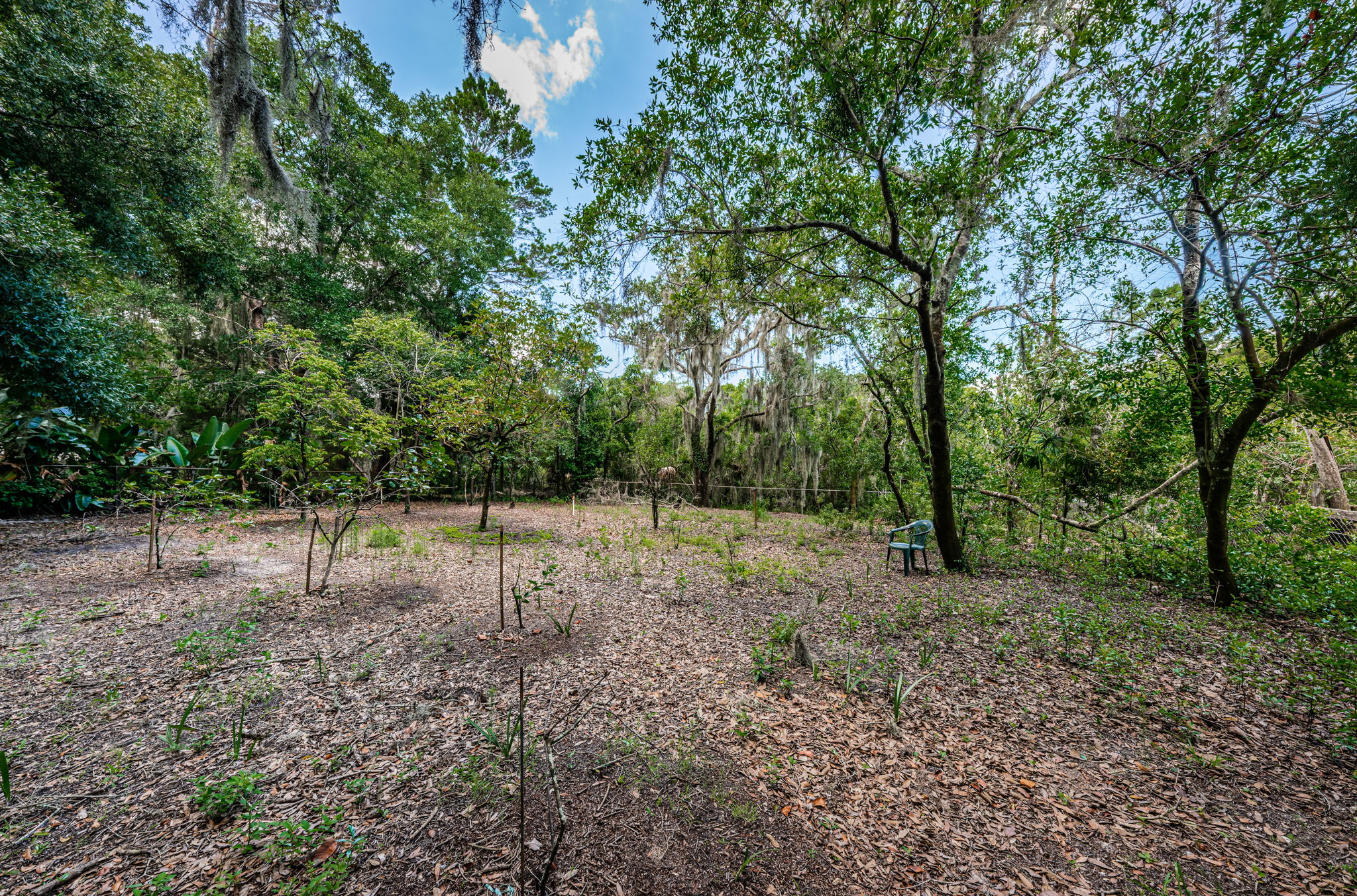 Front Fenced Yard3