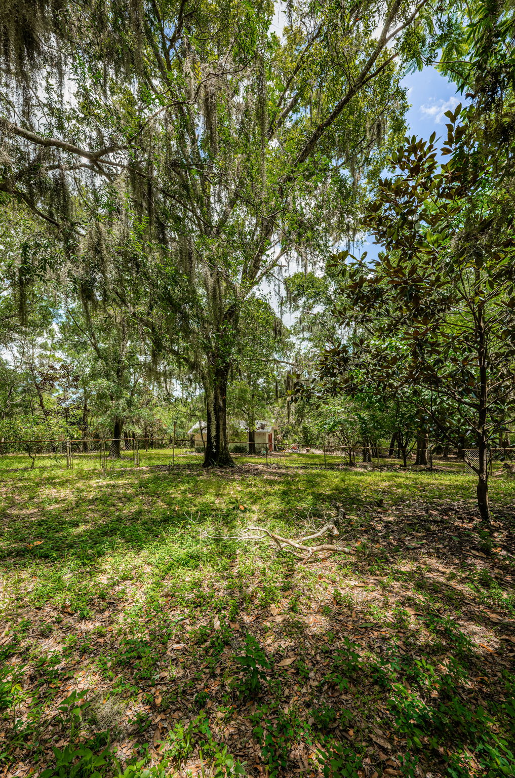 Rear Fenced Yard2