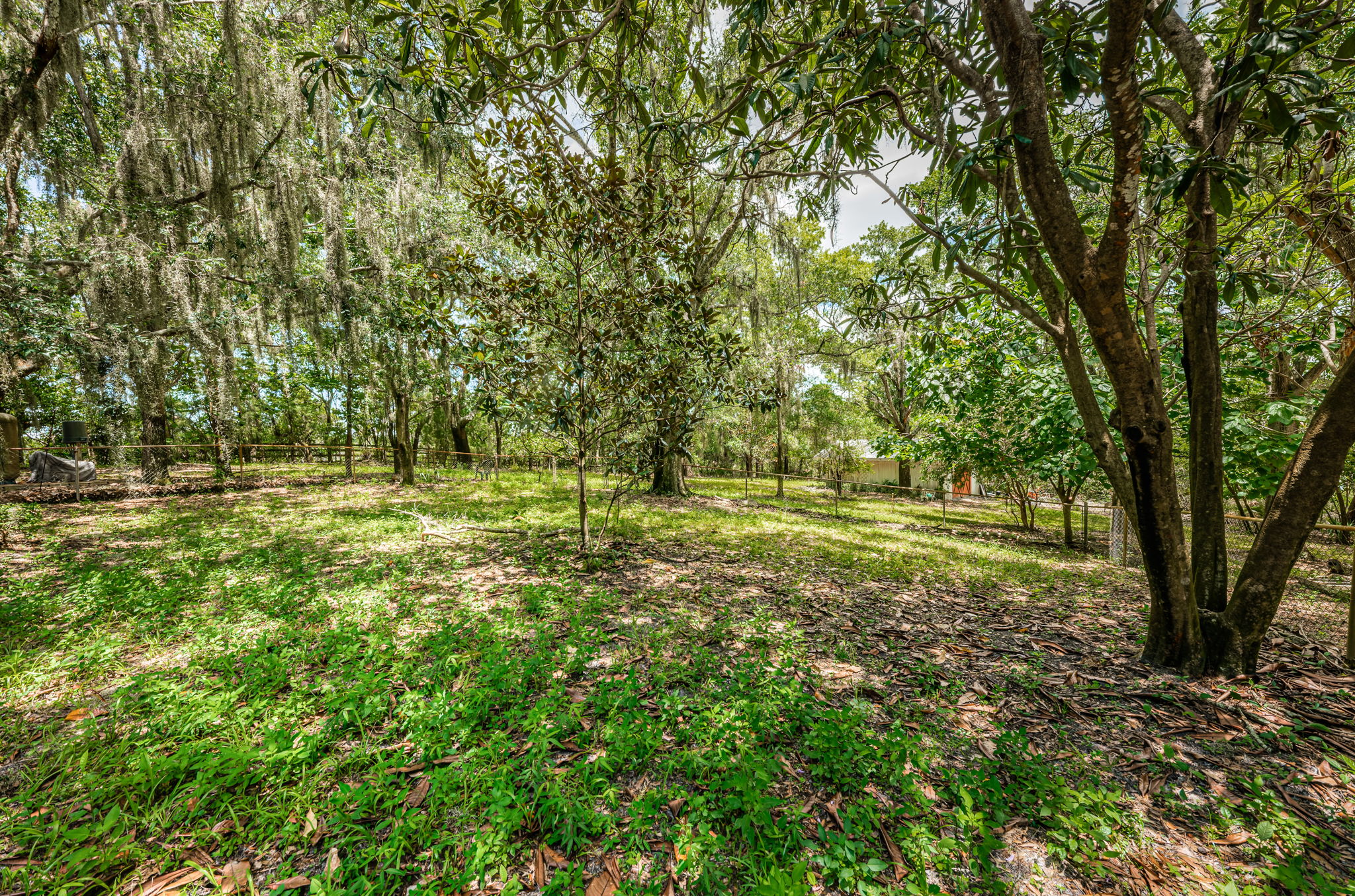 Rear Fenced Yard3