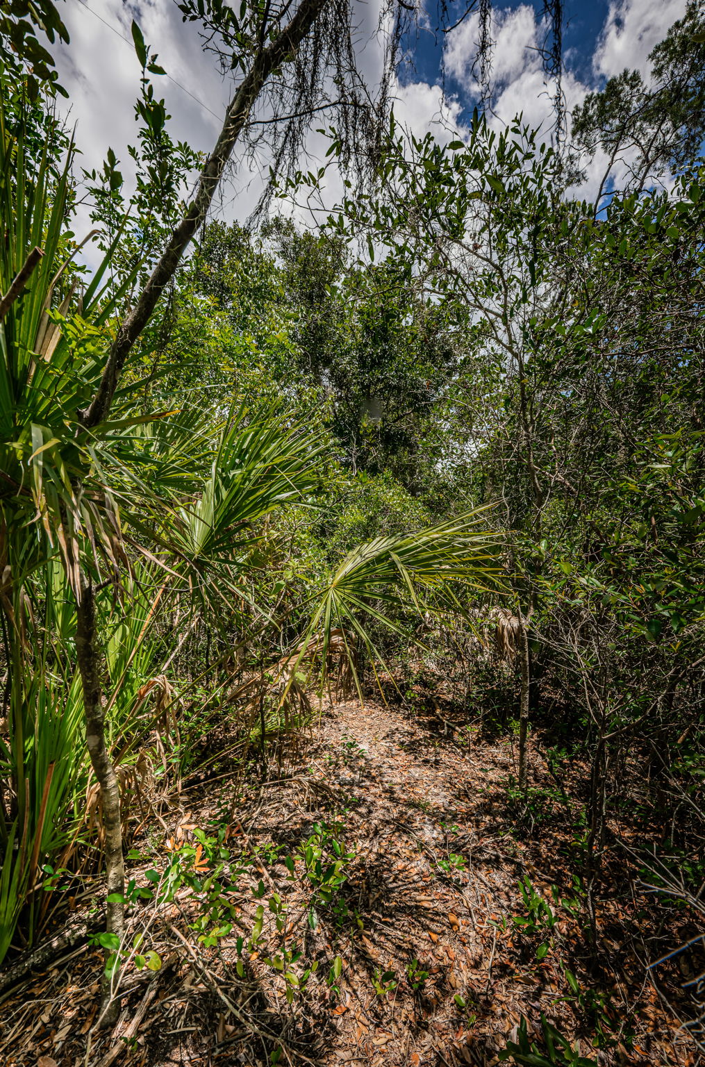 Trail to Rear Open Area2