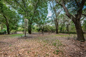 Front Fenced Yard1 Entry