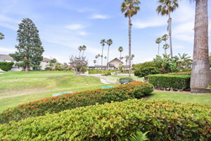 Near Walking Path to Clubhouse