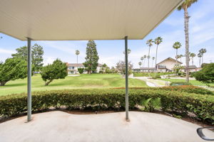 Wide Open View from Patio