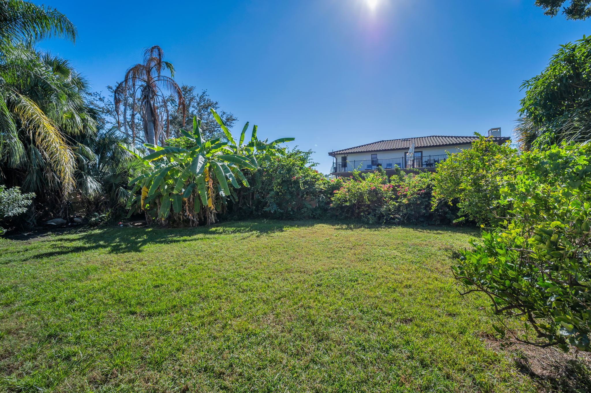 Backyard5