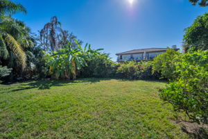 Backyard5