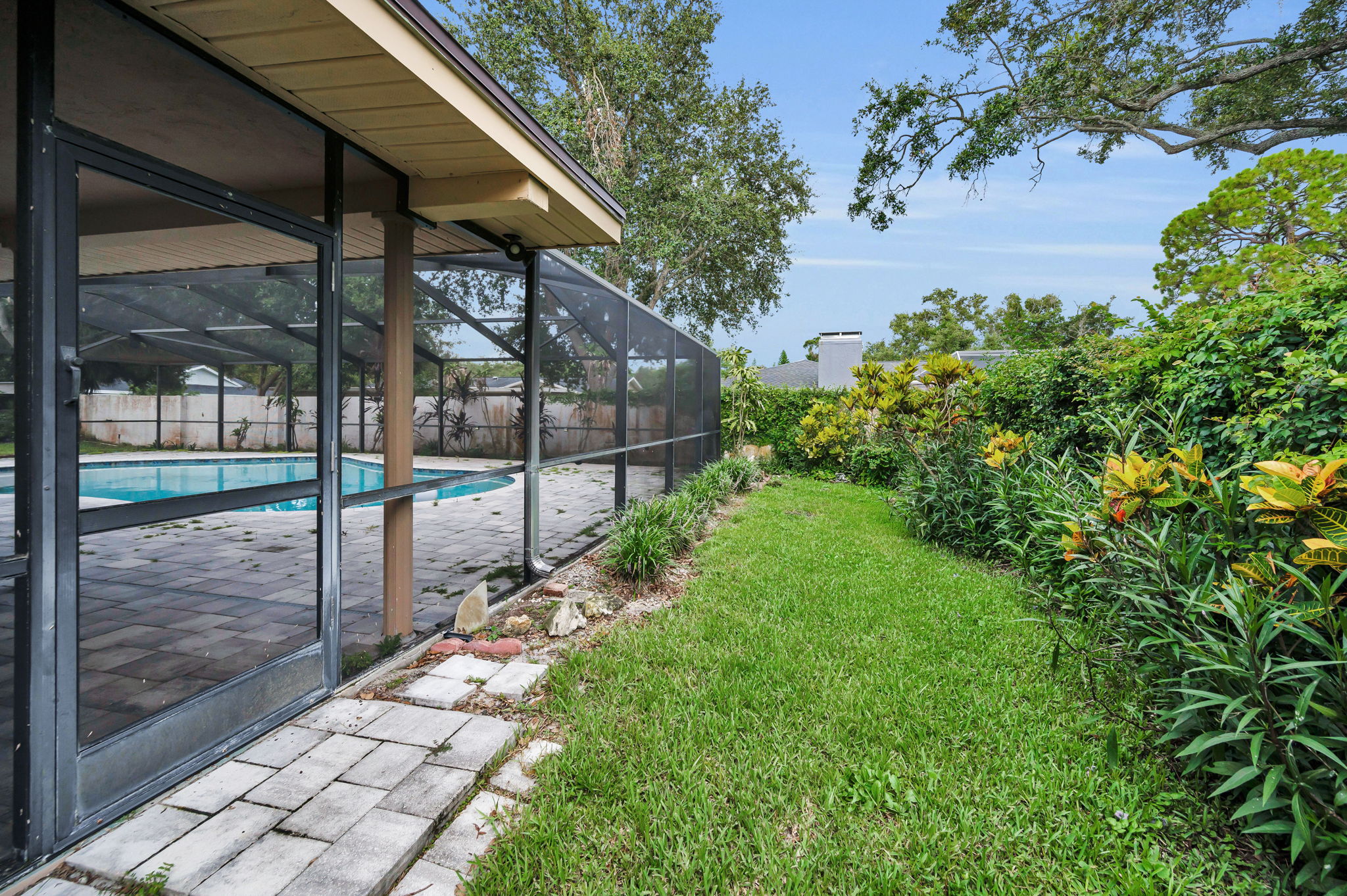 Backyard6