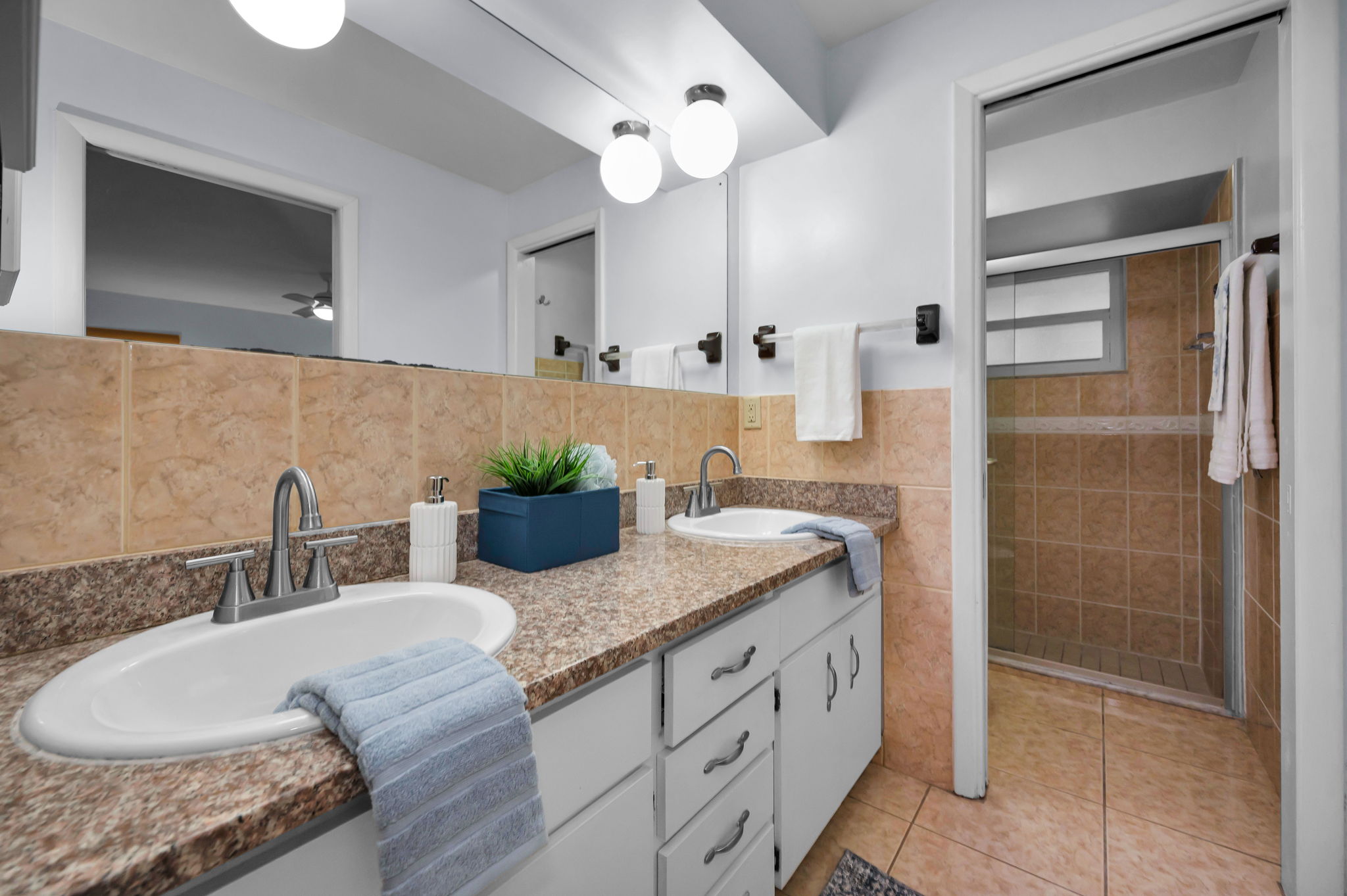 Primary Bathroom1a
