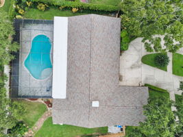 Backyard1