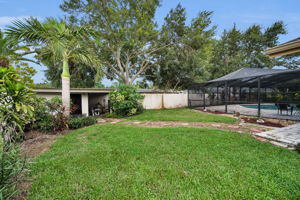 Backyard2
