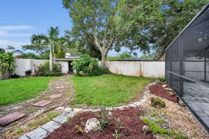 Backyard3