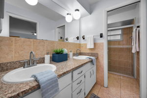 Primary Bathroom1a